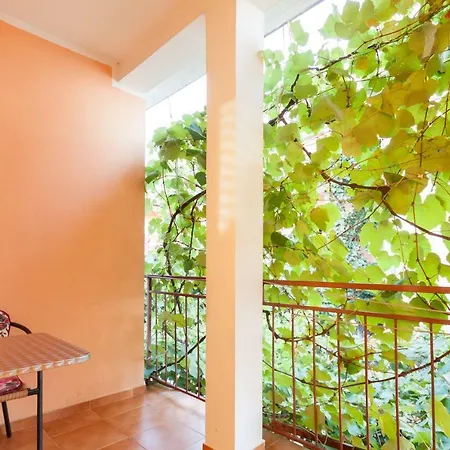 Apartmán Ruza Budva